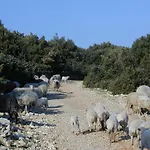 Jasmin דירה בול